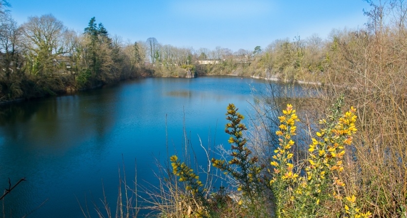 Découvrir SaintBerthevin Patrimoine naturel Saint Berthevin
