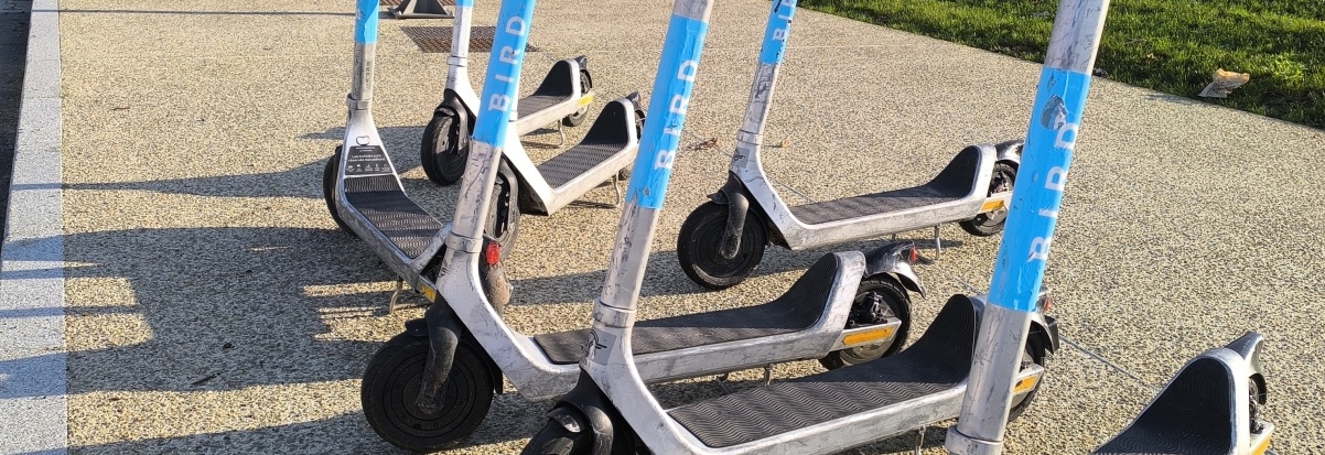 Les trottinettes BIRD